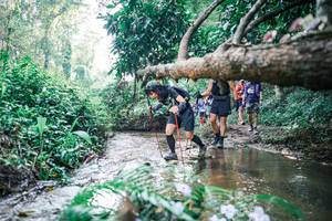 BIB: 
                            <button type="button" onclick="openModal(25451774)" class="btn btn-primary btn-sm float-right btn-popup" data-toggle="modal" data-target=".modal-high-quality">
                        <i class="fas fa-shopping-cart"></i> Add to Cart
                    </button>
                                            <button type="button" onclick="isThisMe(25451774, true)" class="btn btn-success btn-sm float-right btn-popup btn-isme hidden" data-toggle="tooltip" data-placement="bottom" title="นี่คือรูปของคุณใช่ไหม คลิกที่นี่เพื่อเอาเข้าอัลบั้ม">
                        <i class="fas fa-plus"></i> Add to album
                    </button>
                    <button type="button" onclick="isThisMe(25451774, false)" class="btn btn-warning btn-sm float-right btn-popup btn-isnotme hidden">
                        <i class="fas fa-ban"></i> Remove from album
                    </button>